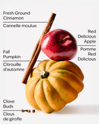 Pumpkin Apple Wallflowers Fragrance Refill image 2