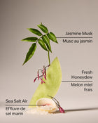 Sea Salt Travel Size Fine Fragrance Mist image 3