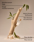 Sea Salt & Driftwood Wallflowers Fragrance Refill image 3