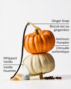 Sweet Cinnamon Pumpkin Travel Size Fine Fragrance Mist image 2