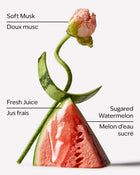 Watermelon Whirl PocketSpray Hand Sanitizer image 3