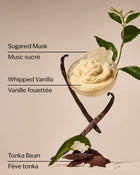 Wild Vanilla Travel Size Fine Fragrance Mist image 2