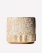Santal + Amber 4-Wick Candle