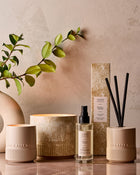 Santal + Amber 4-Wick Candle image 6