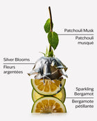 Platinum Travel Size Fine Fragrance Mist image 2